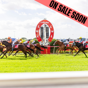 horses at doomben